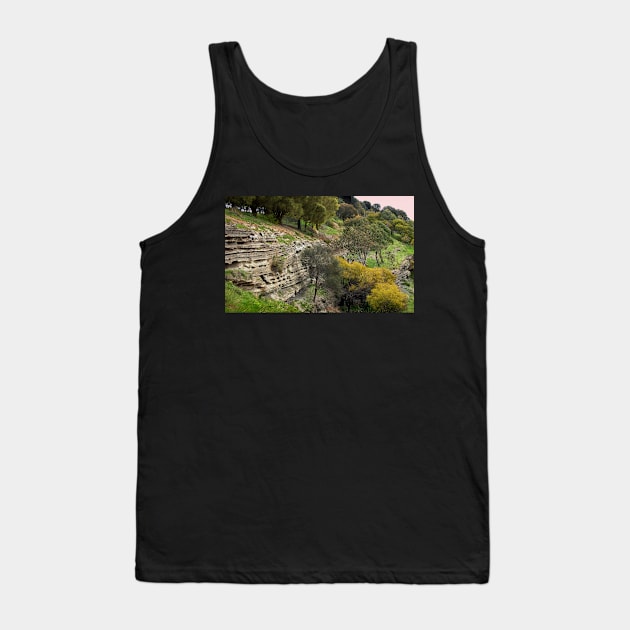 Volcanic Strata, Tower Hill Tank Top by rozmcq